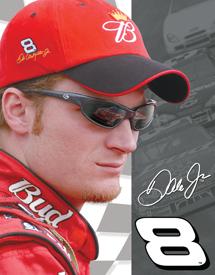 Detail Picture for Dale Jr. - Close Up