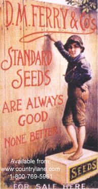 Click for D.M. FERRY STANDARD SEEDS Detail