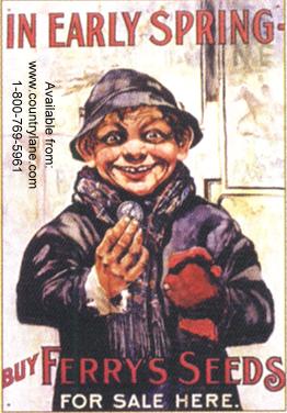 Click for FERRY SEEDS / COMIC BOY WITH COIN Detail
