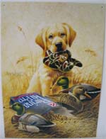 Click for KAATZ - READY TO HUNT Detail